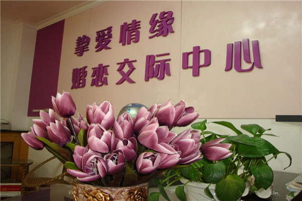 怎么赚钱总成婚介所效劳哪家靠谱讲讲选购要点帮你找到幻想的婚介所,-怎么赚钱